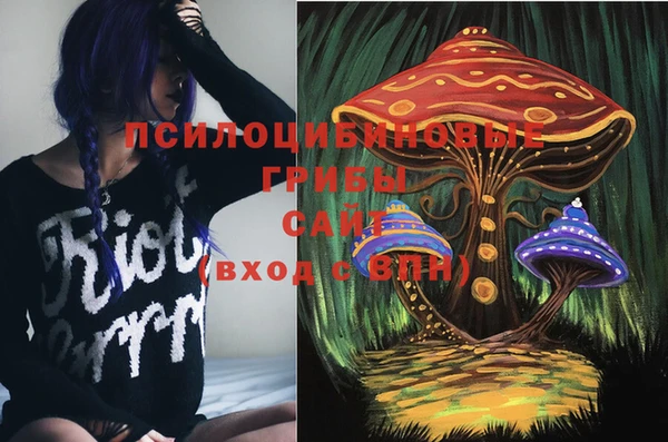spice Балахна