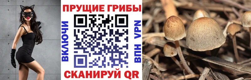 Псилоцибиновые грибы Magic Shrooms  гидра   Заречный 